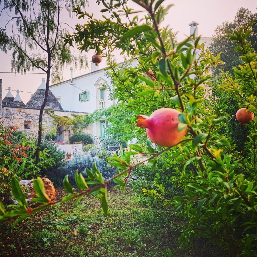 B&B Giovannarolla Green House Ostuni Dış mekan fotoğraf