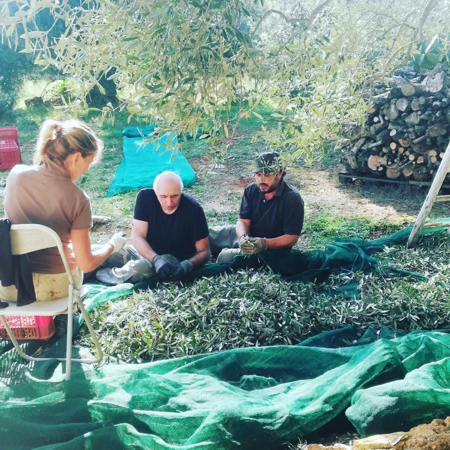 B&B Giovannarolla Green House Ostuni Dış mekan fotoğraf
