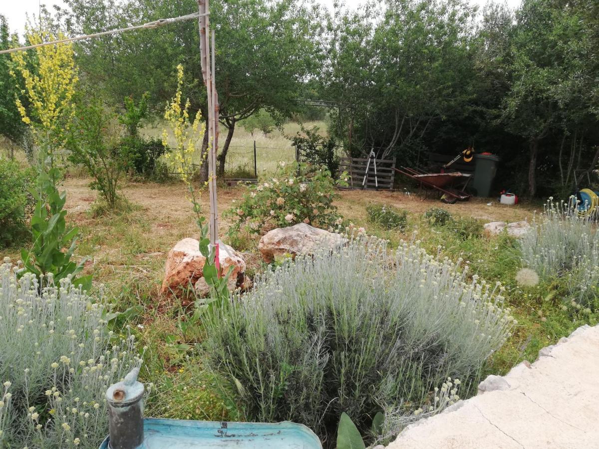 B&B Giovannarolla Green House Ostuni Dış mekan fotoğraf