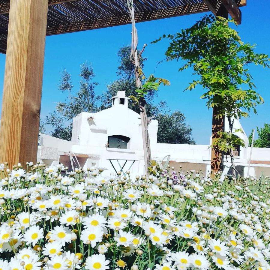 B&B Giovannarolla Green House Ostuni Dış mekan fotoğraf