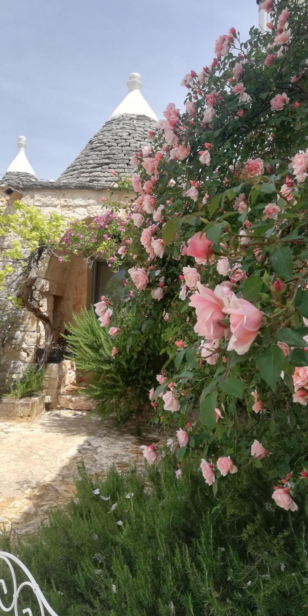 B&B Giovannarolla Green House Ostuni Dış mekan fotoğraf
