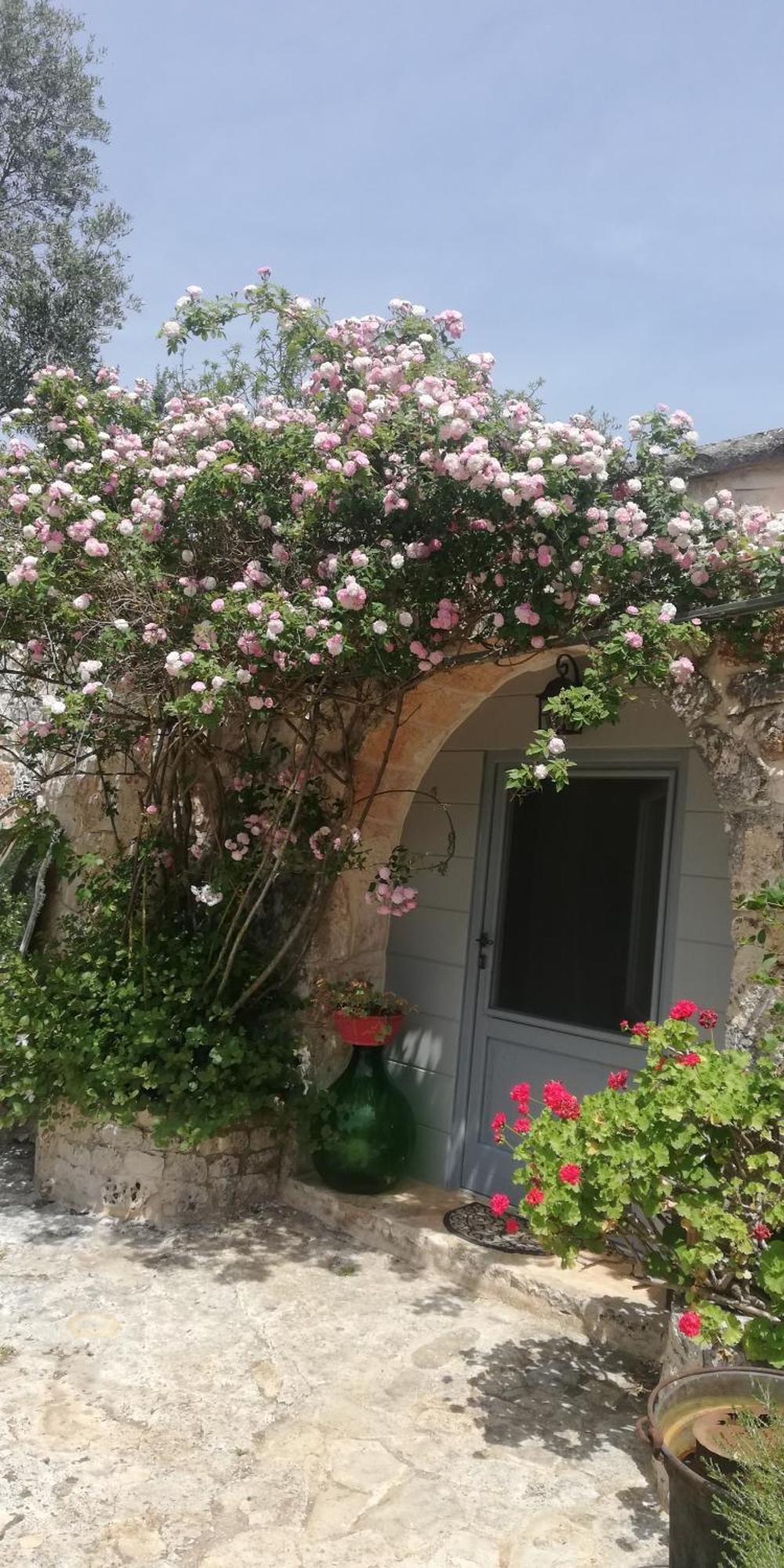 B&B Giovannarolla Green House Ostuni Dış mekan fotoğraf