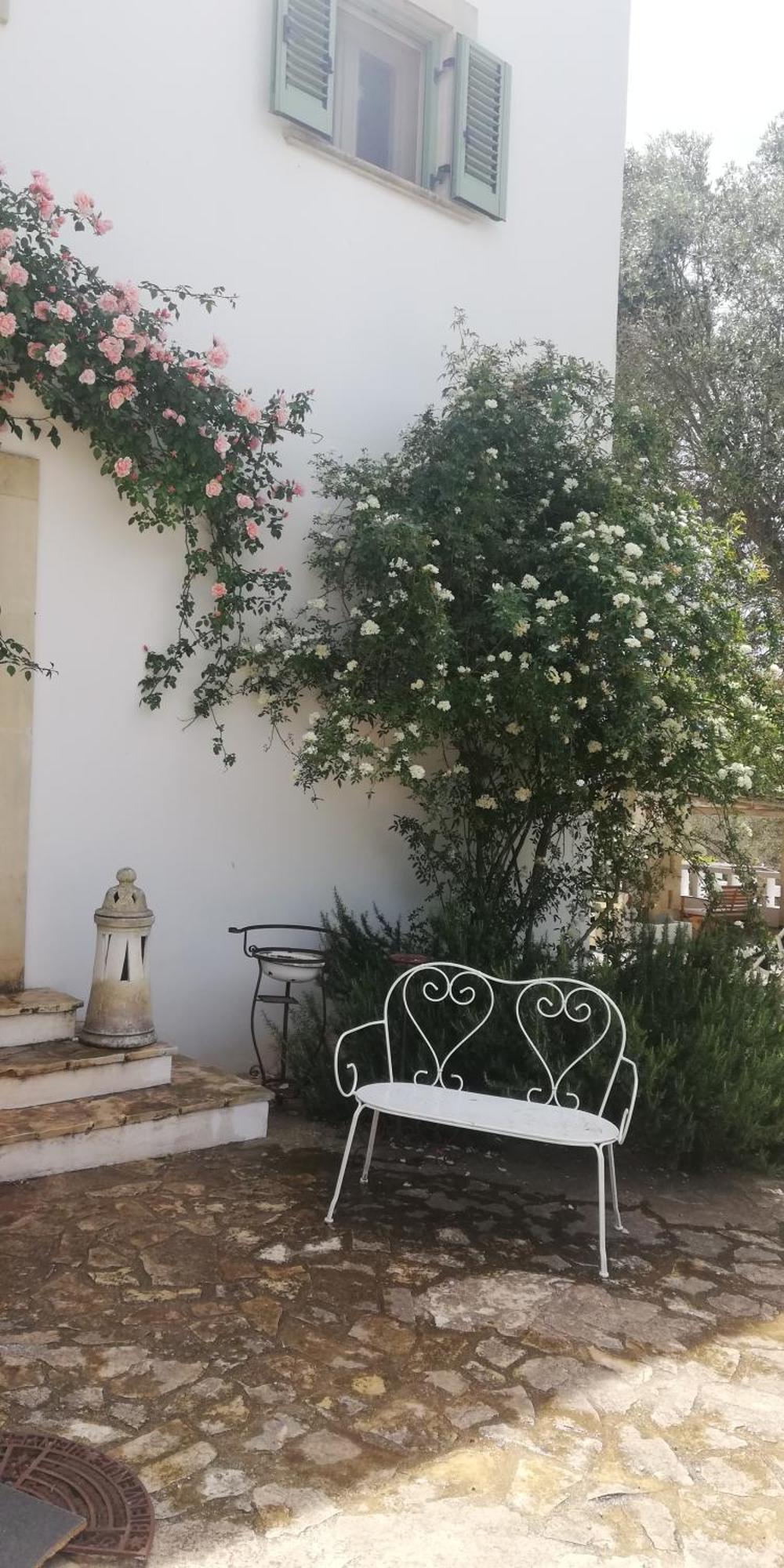 B&B Giovannarolla Green House Ostuni Dış mekan fotoğraf