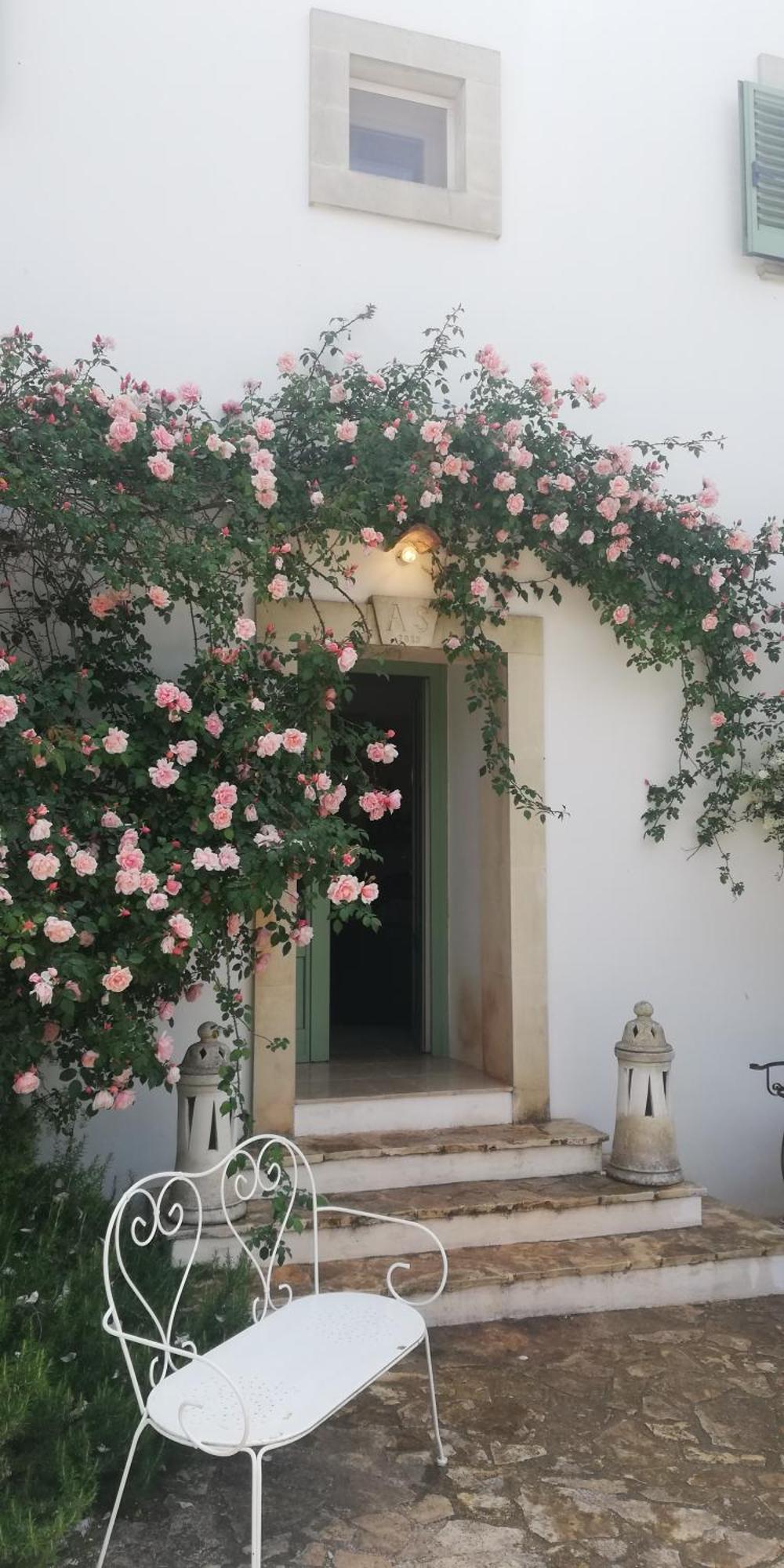 B&B Giovannarolla Green House Ostuni Dış mekan fotoğraf